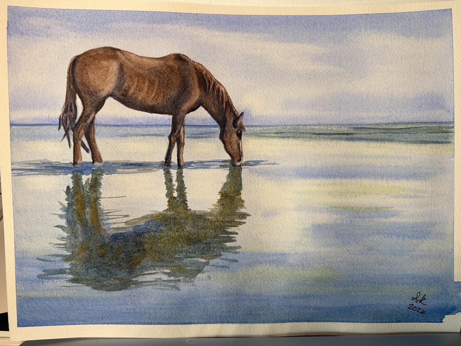 Led to Still Waters - image 1 - student project