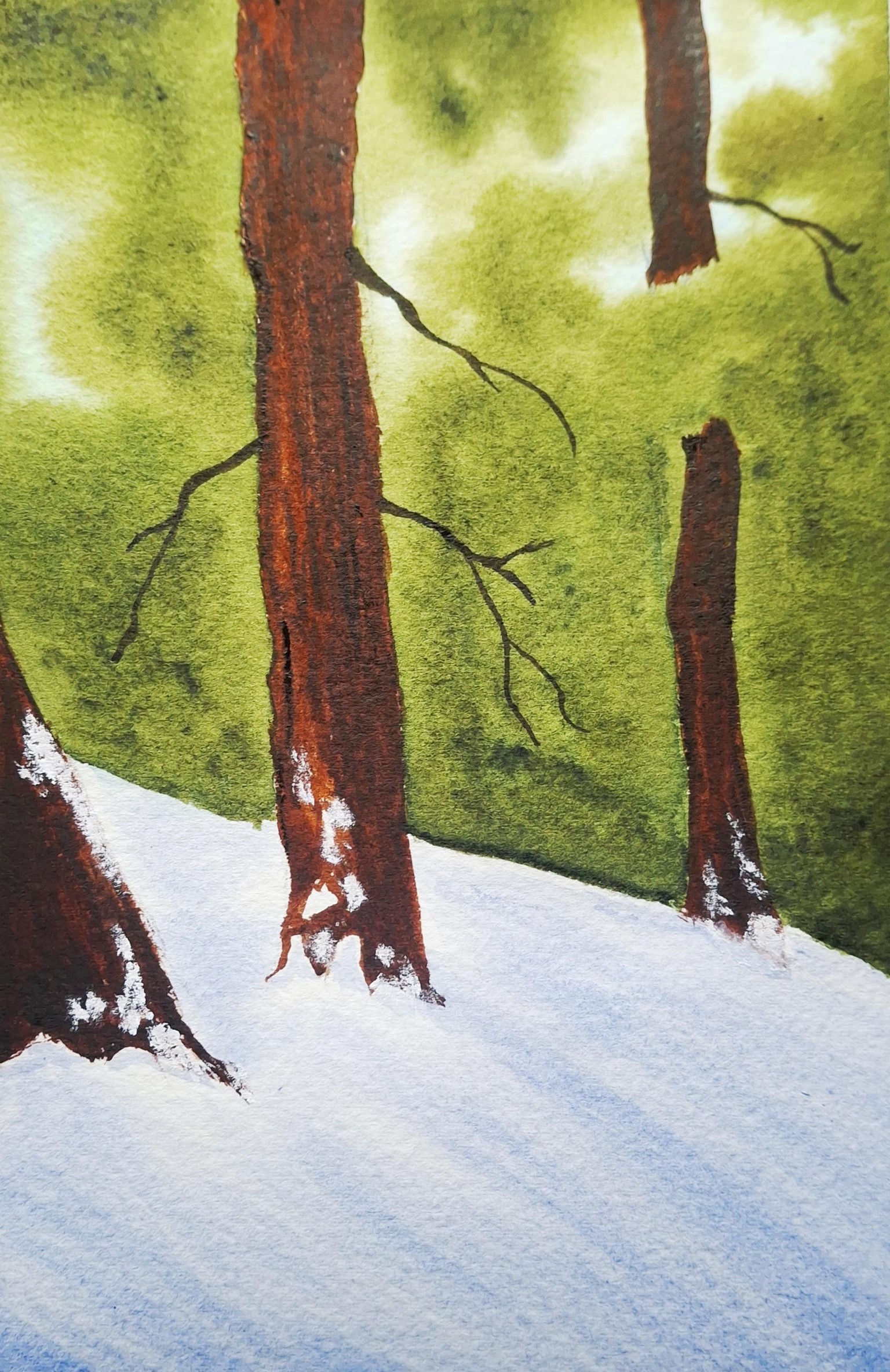 30 Winter Landscapes - image 27 - student project