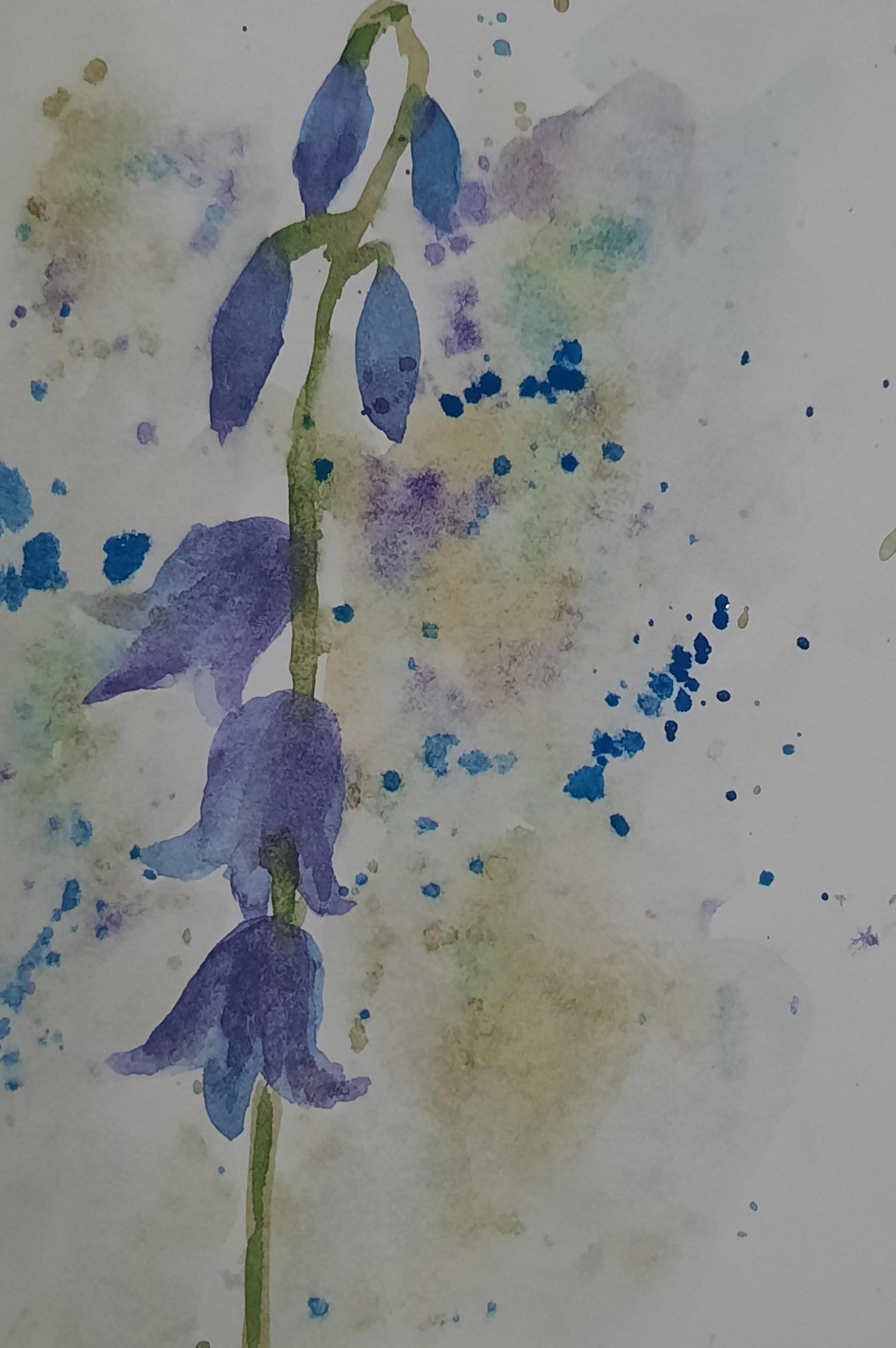 Wildflowers - image 3 - student project