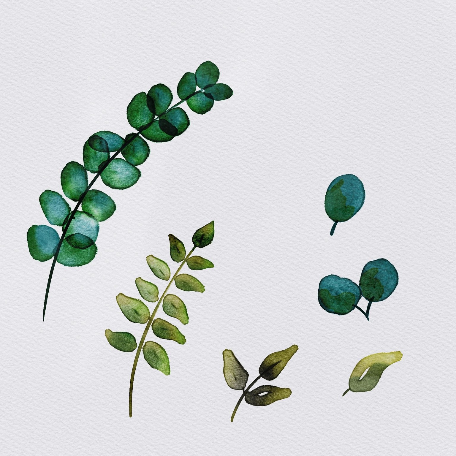 Watercolor Leaves - image 3 - student project