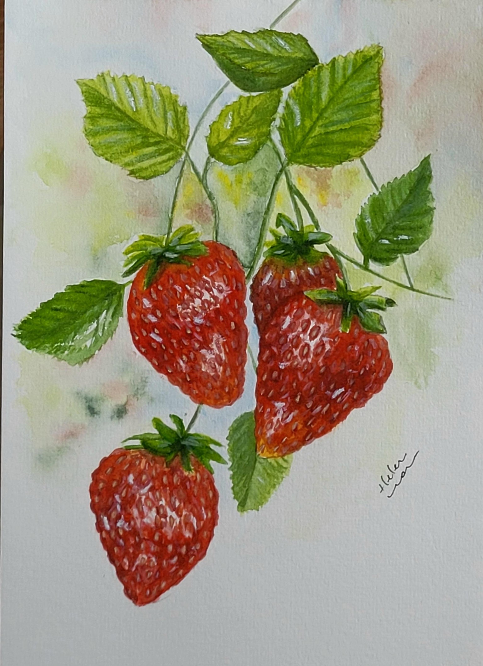 Strawberries, not as fresh. - image 1 - student project