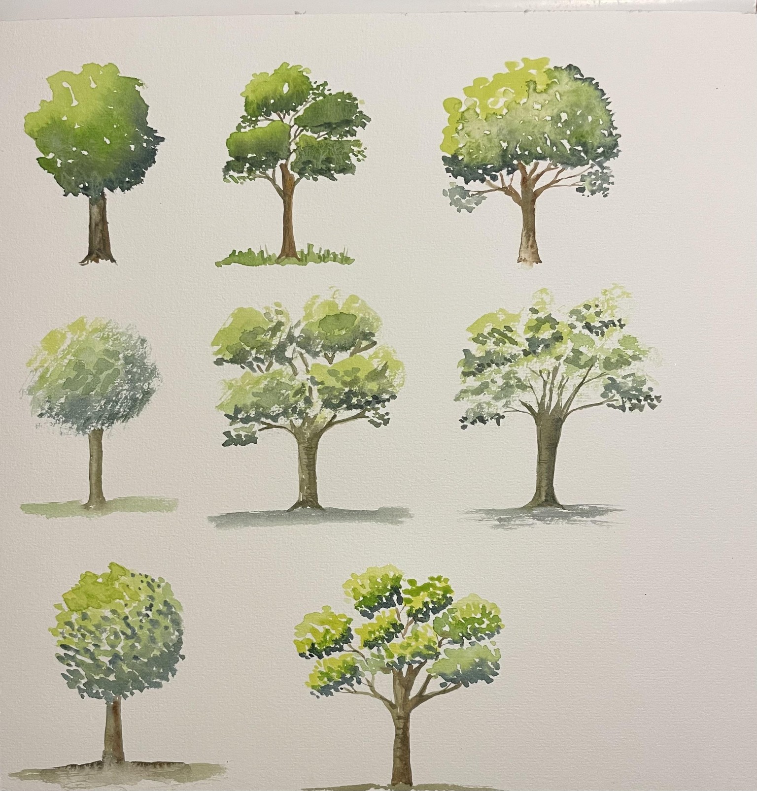 Summertrees in winter - image 1 - student project