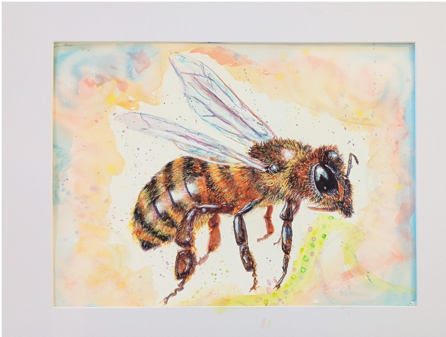 Bee in Watercolor - image 1 - student project
