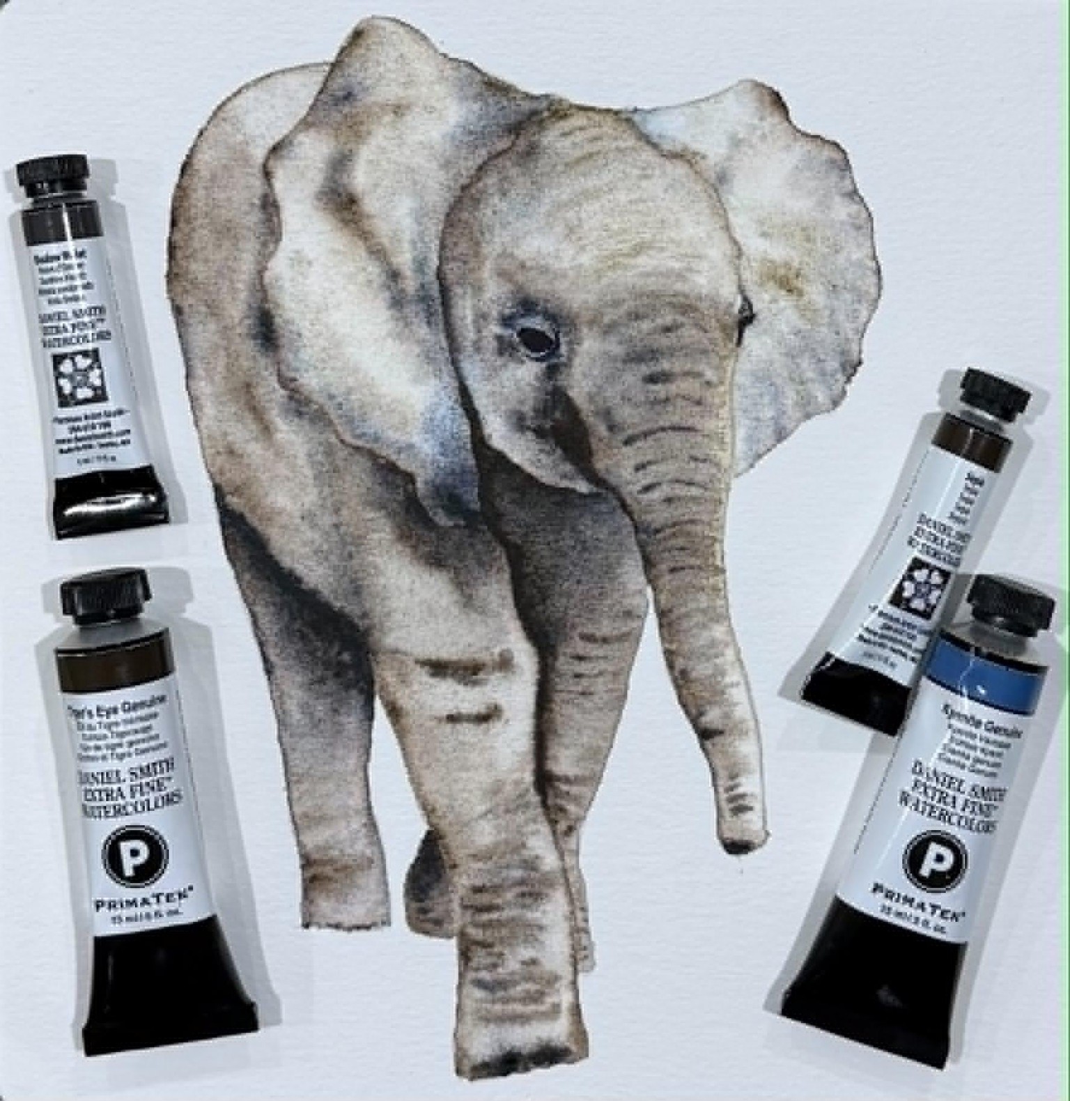My Kenyan Tembo - image 1 - student project