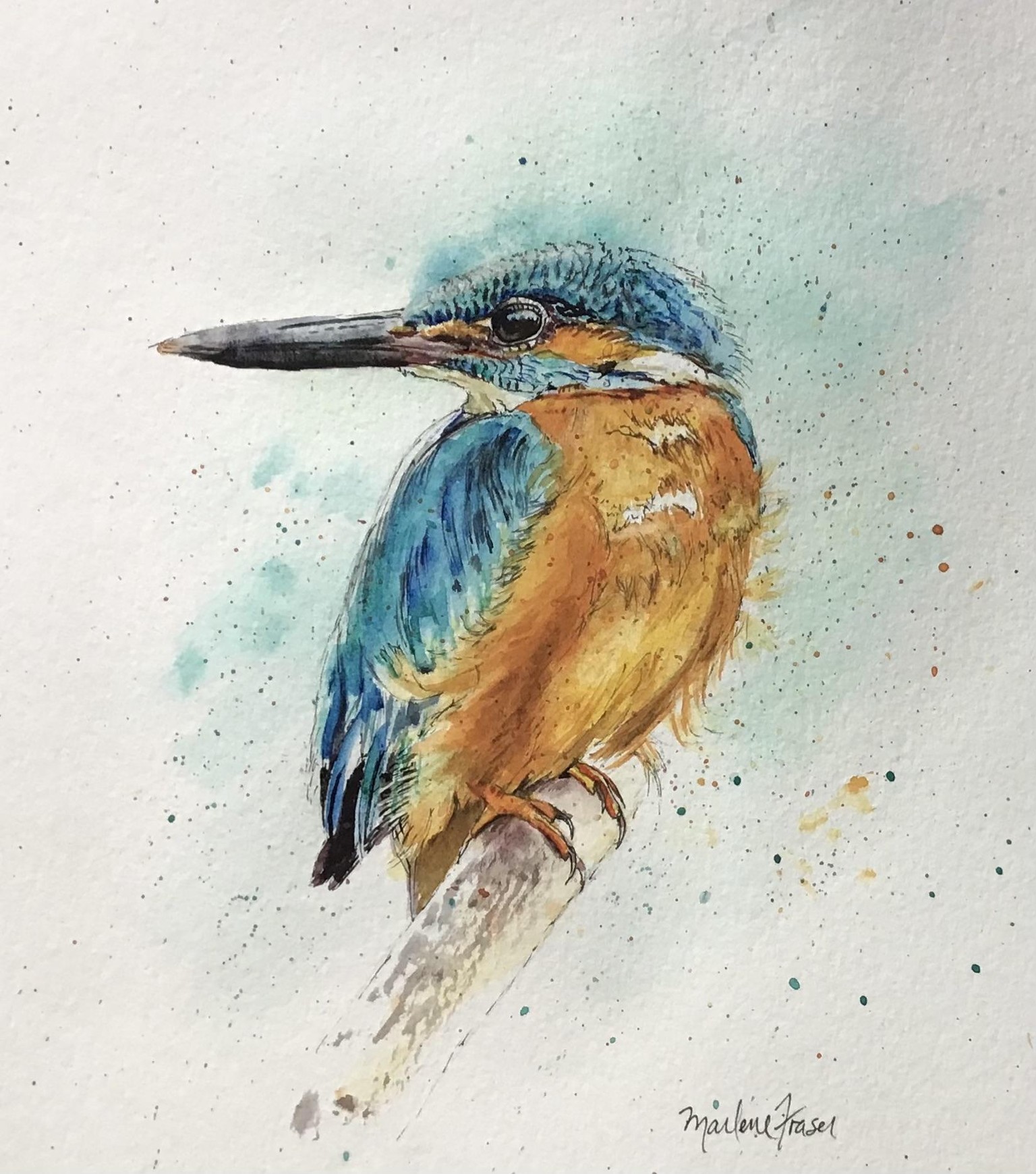 Kingfisher in ink and watercolour - image 1 - student project