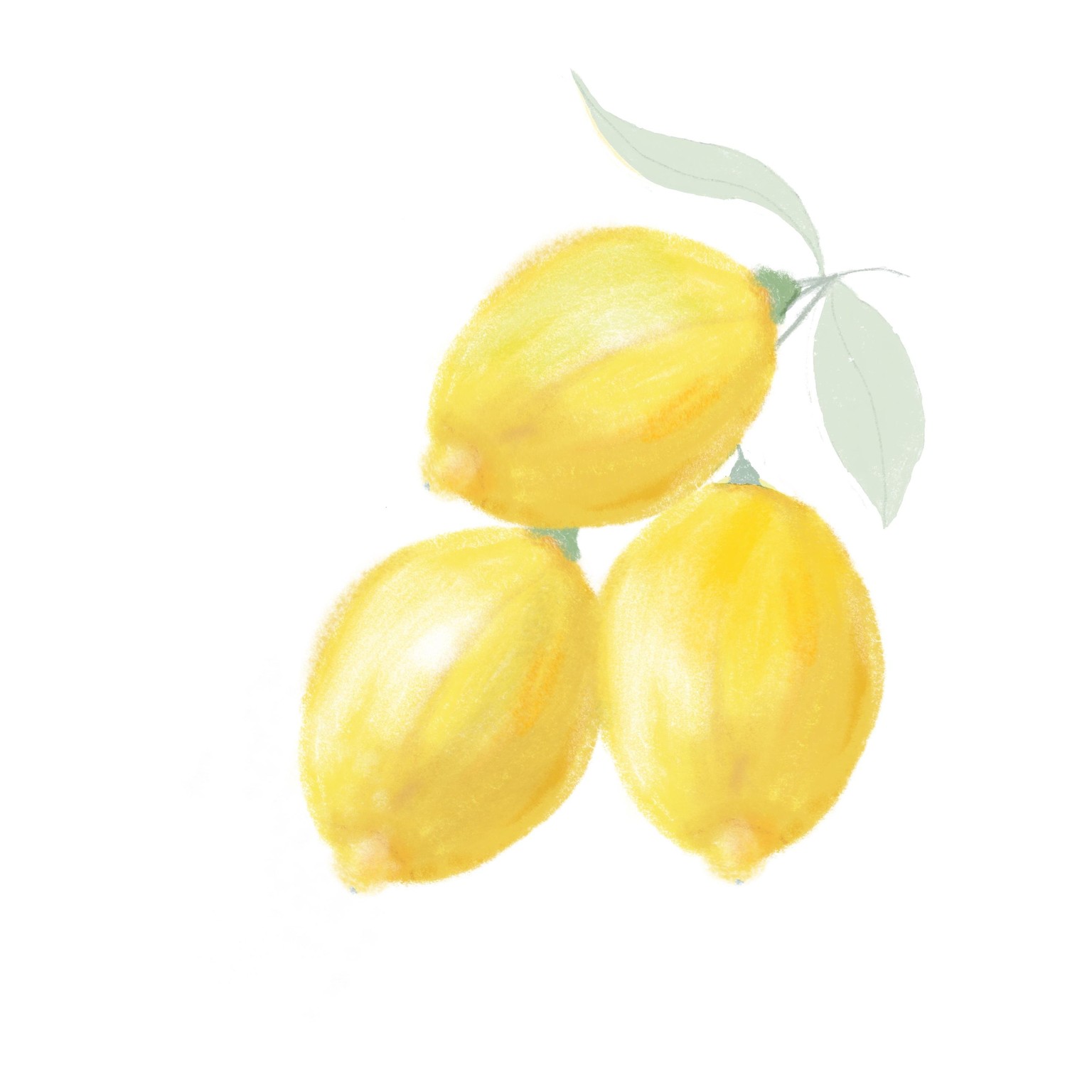 Making Lemonade out of… - image 1 - student project