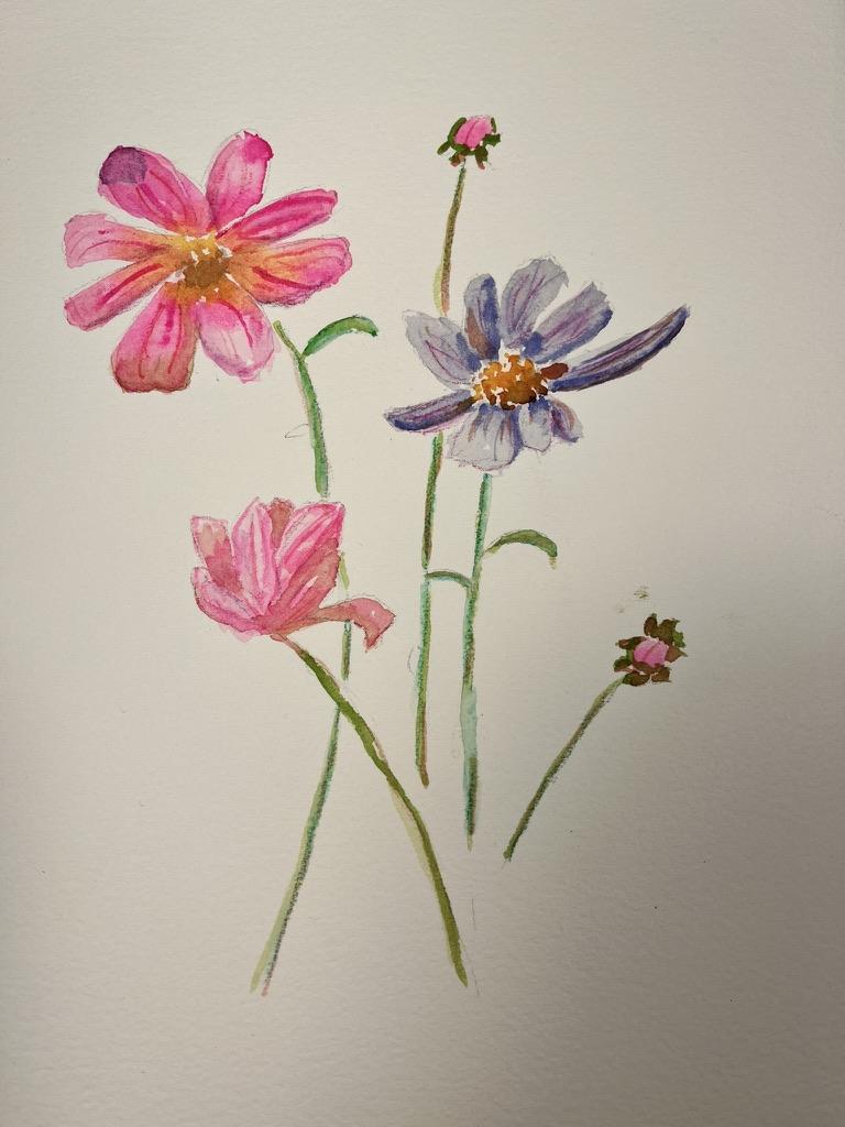 Cosmos - image 1 - student project
