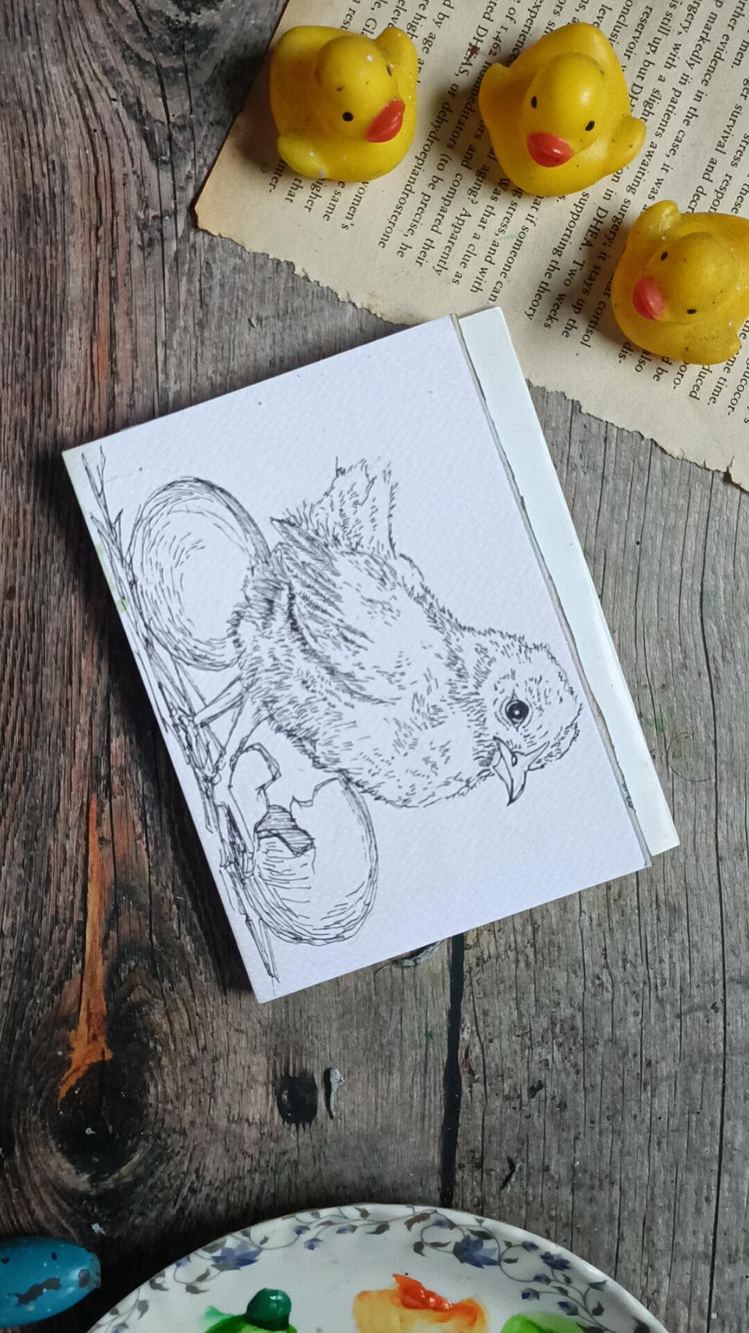 Cute Little Chicks - image 8 - student project