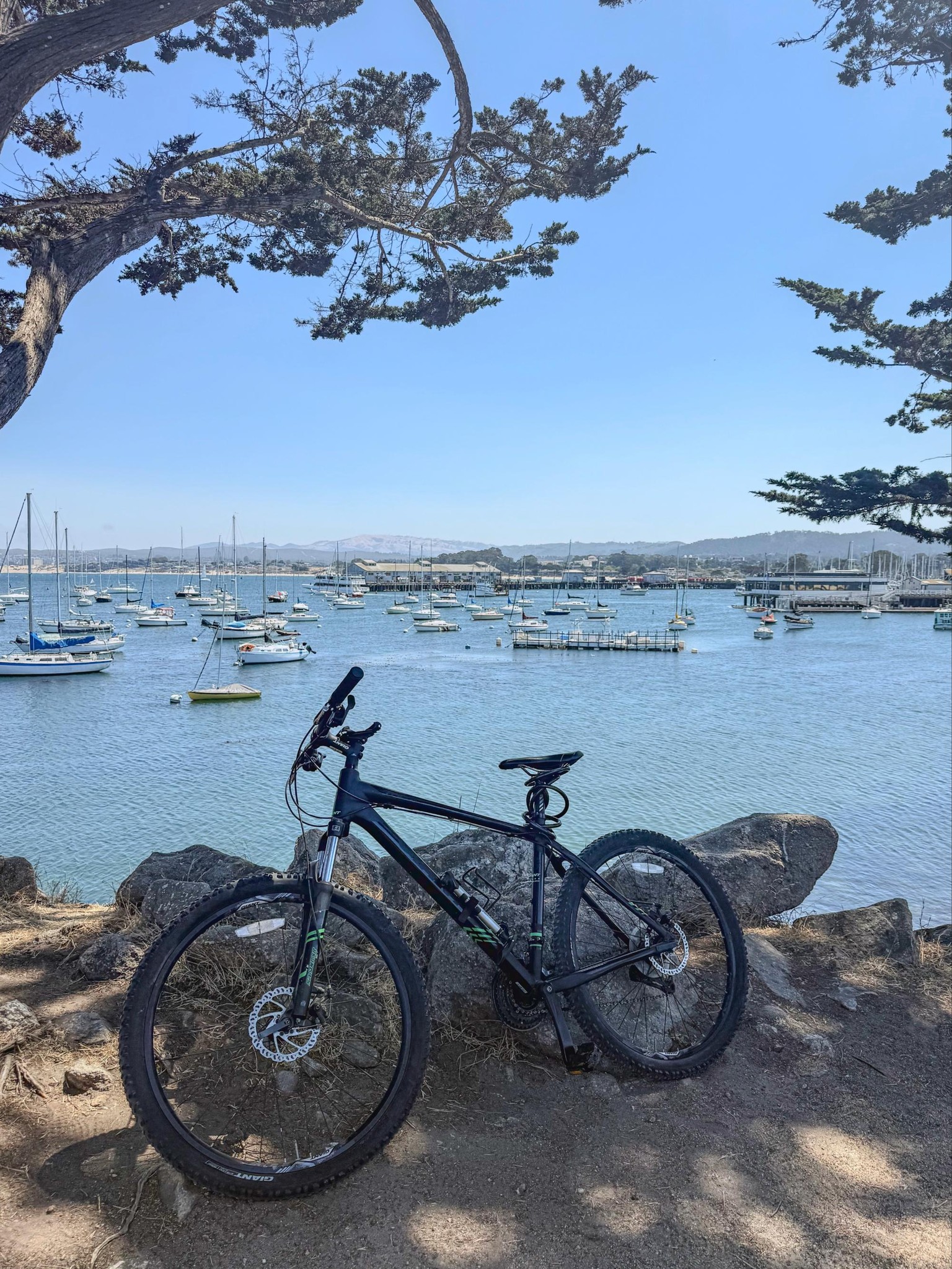 Summer in Monterey - image 1 - student project