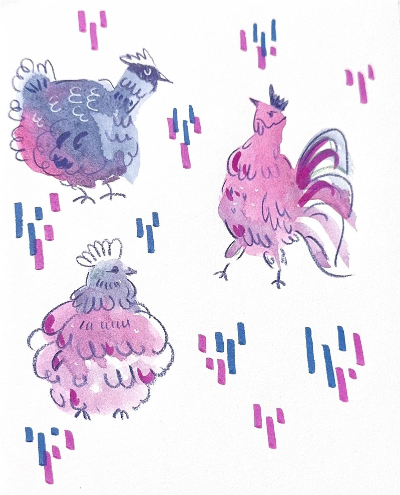 chickens - image 1 - student project