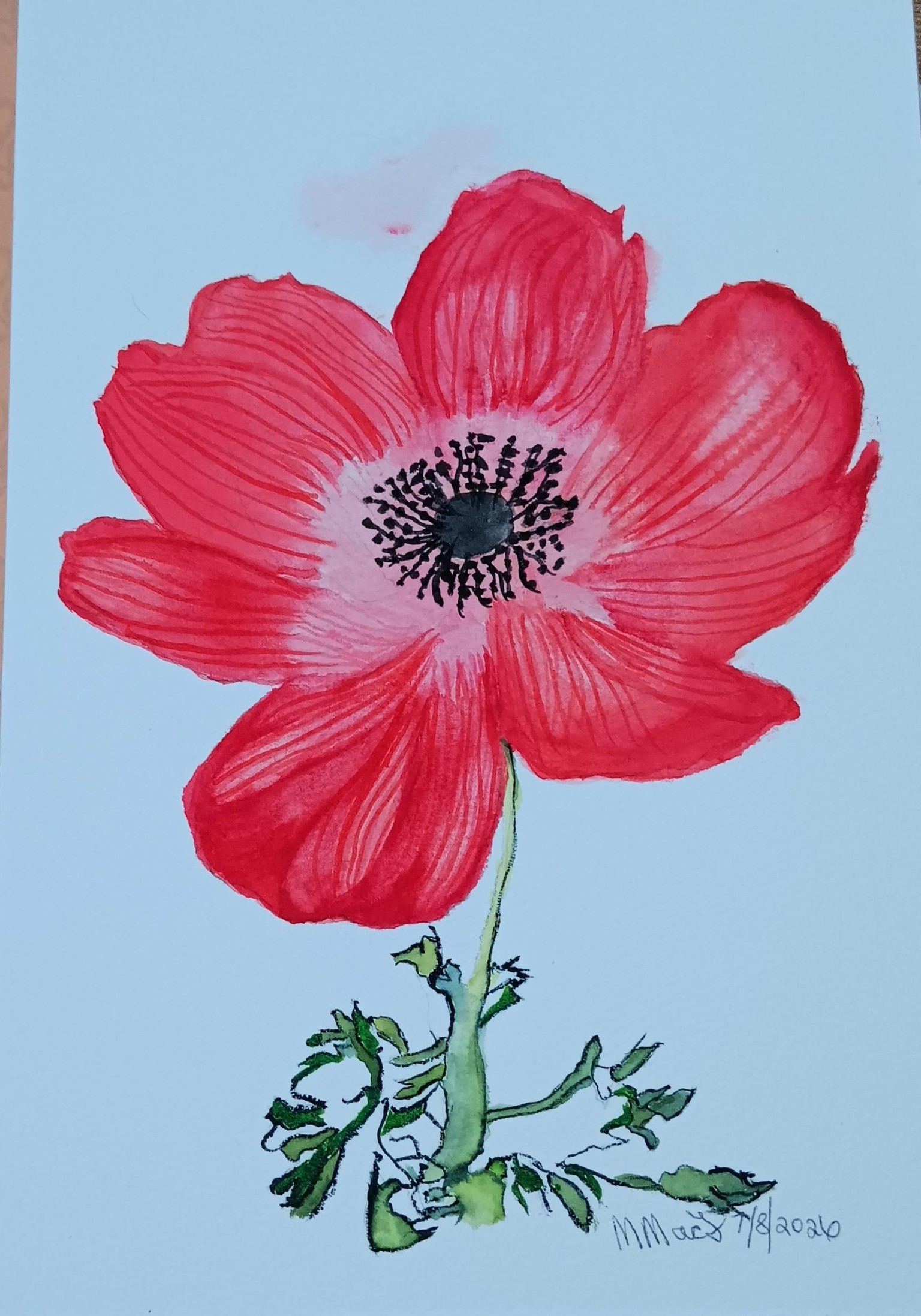 Anemone Flower - image 1 - student project