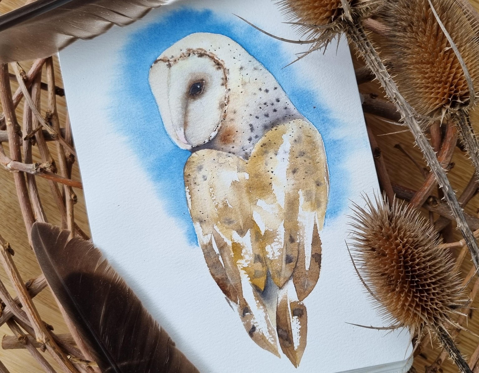 Wise Owl - image 1 - student project