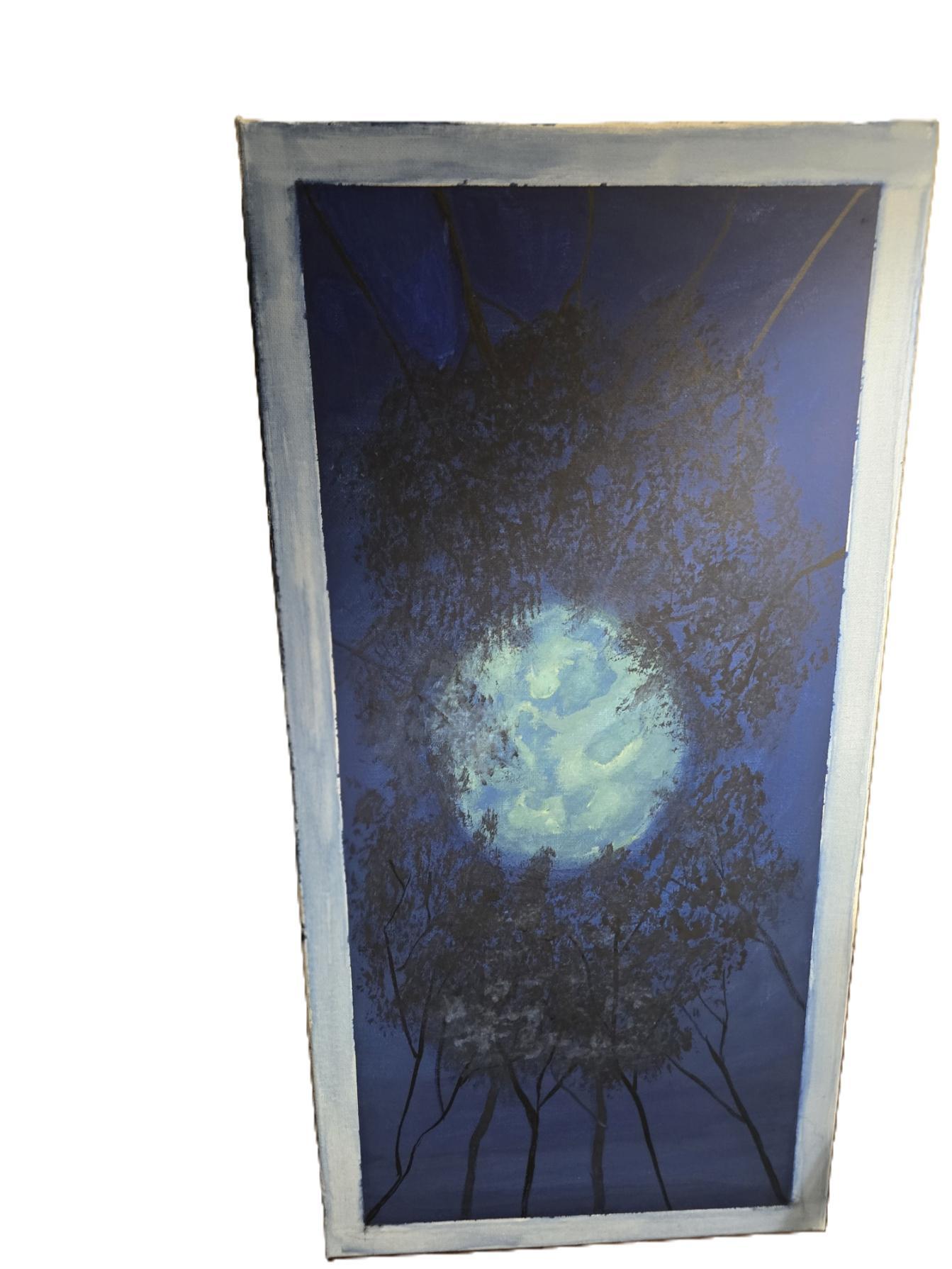 Moon lit forest - image 1 - student project