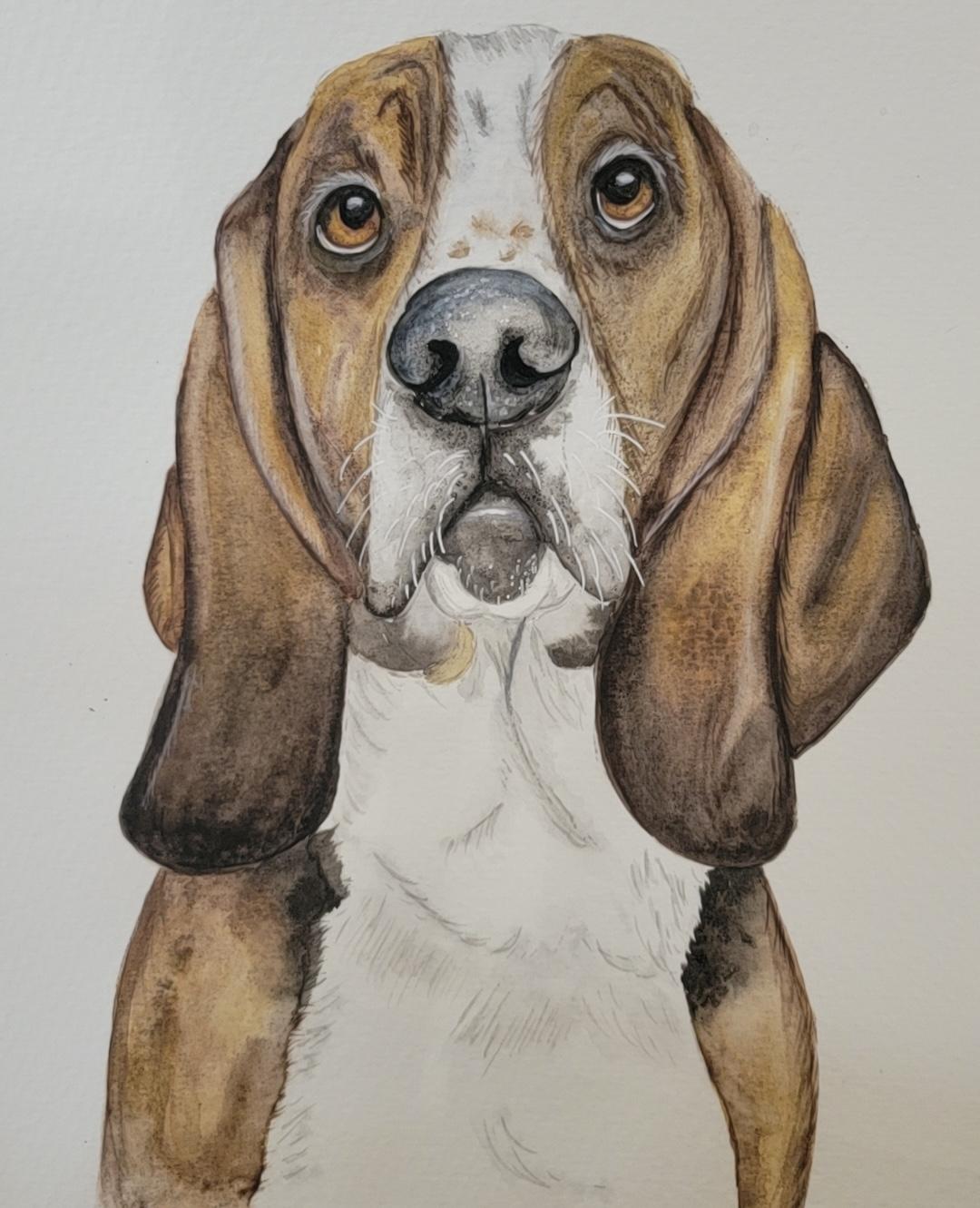 Murphy - image 1 - student project