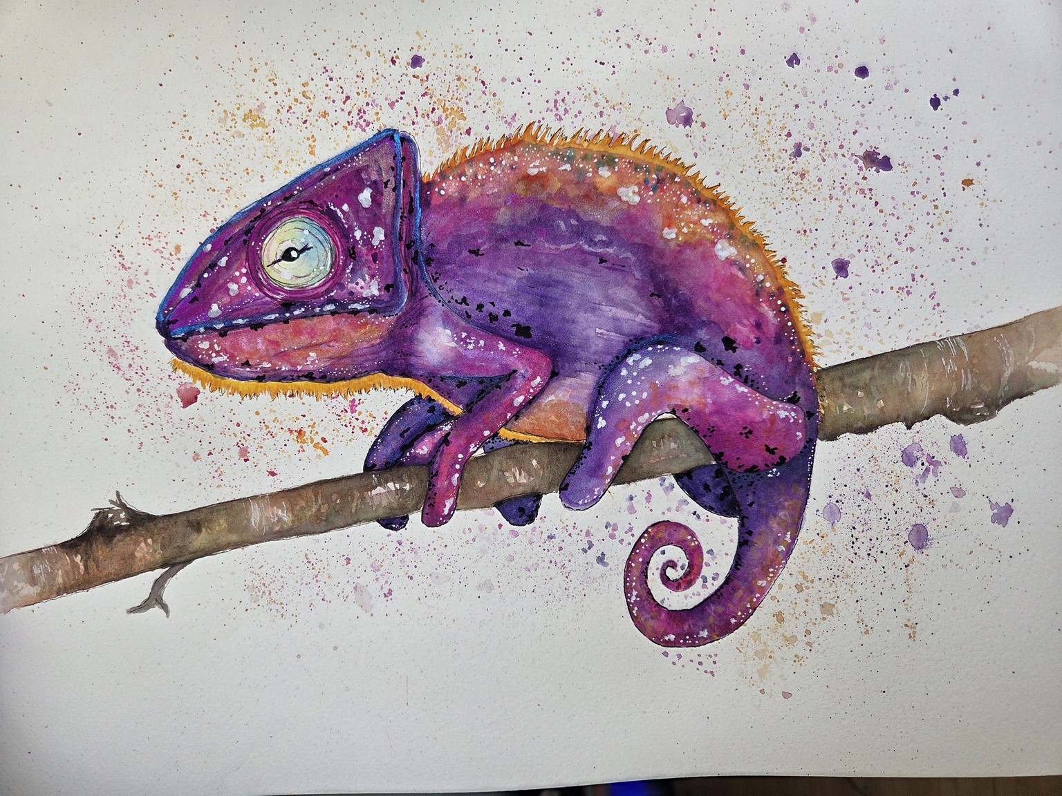 Pink chameleon - image 1 - student project