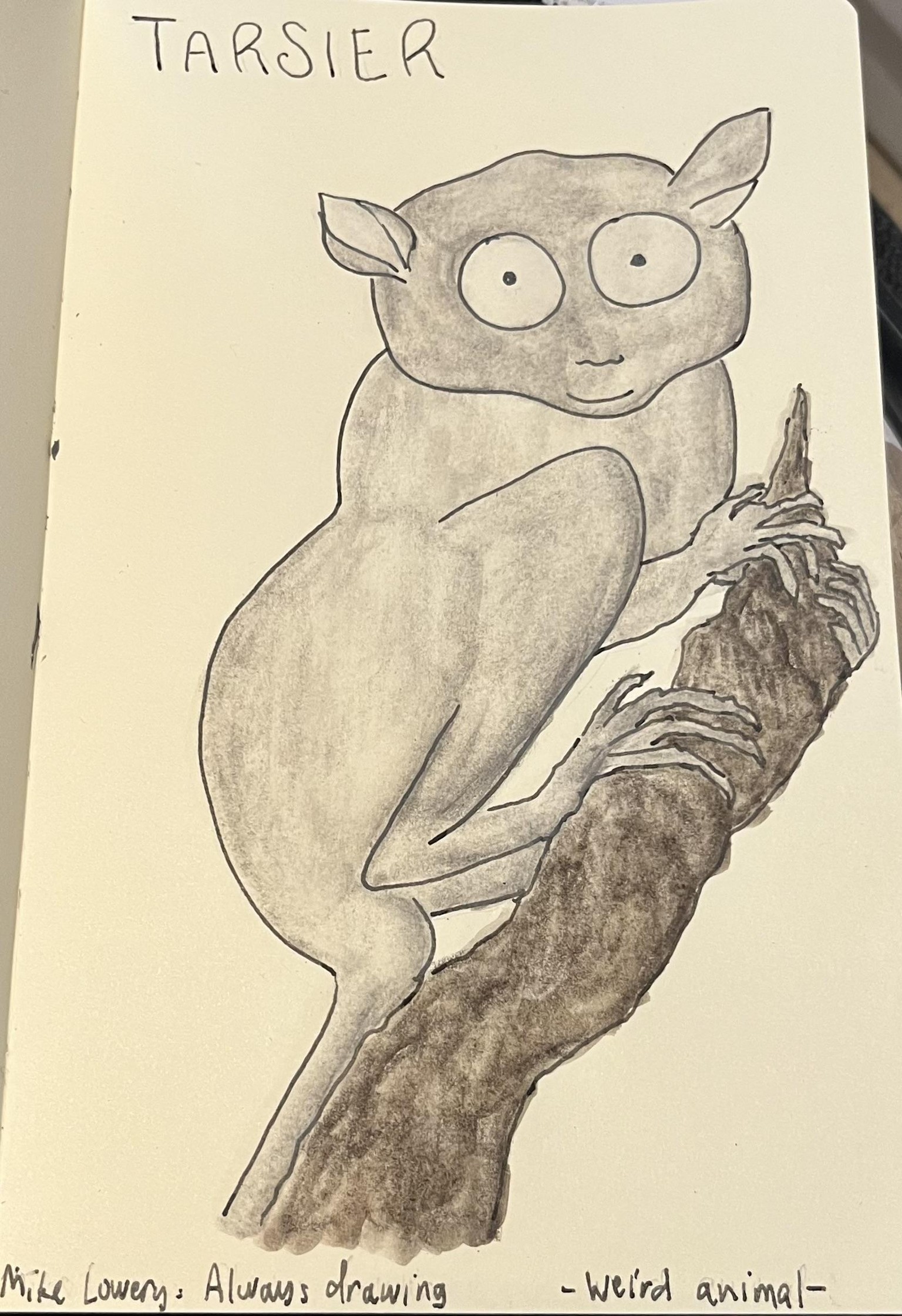 I play to find me - image 7 - student project