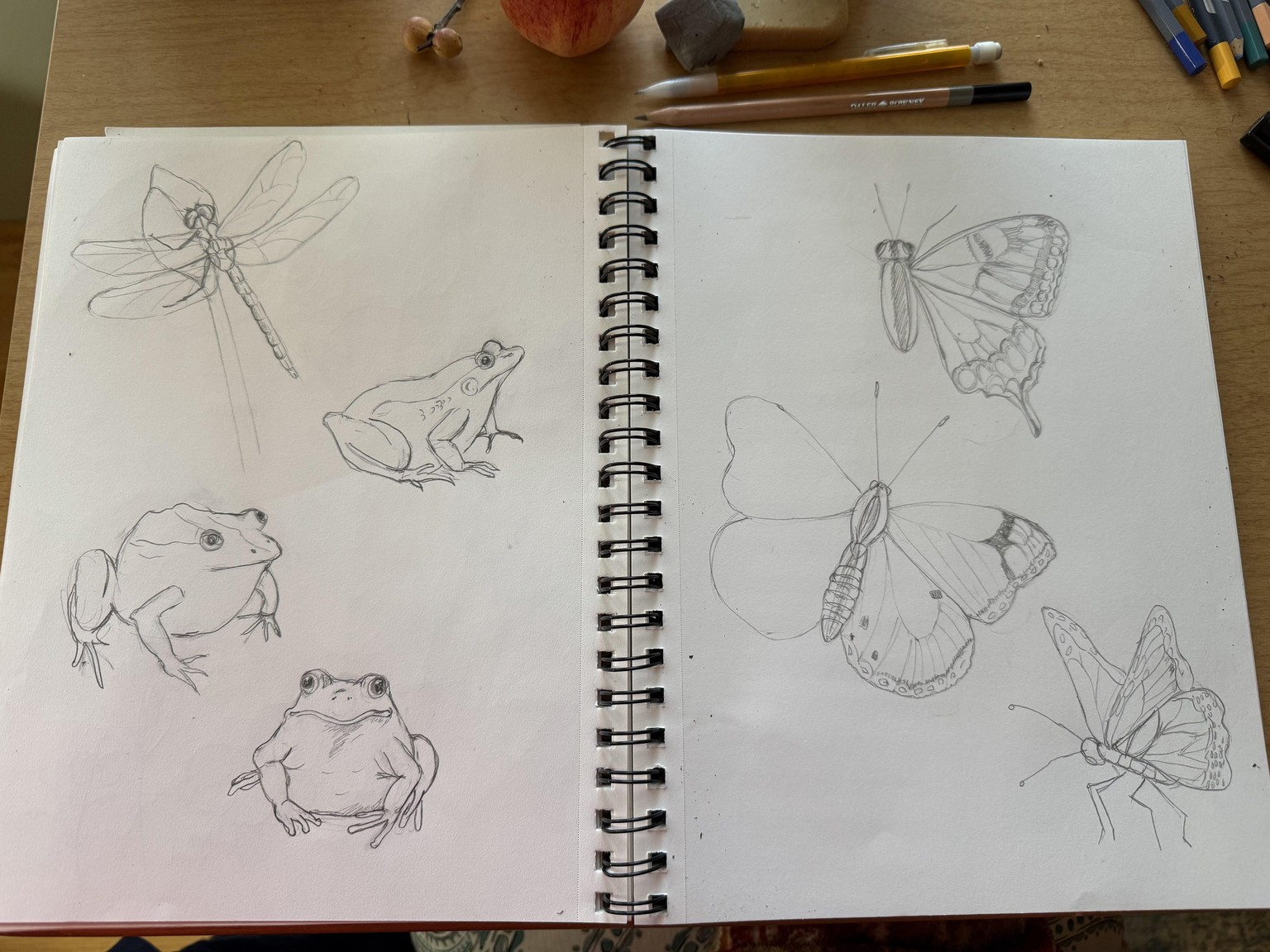 Sketching Projects - image 3 - student project