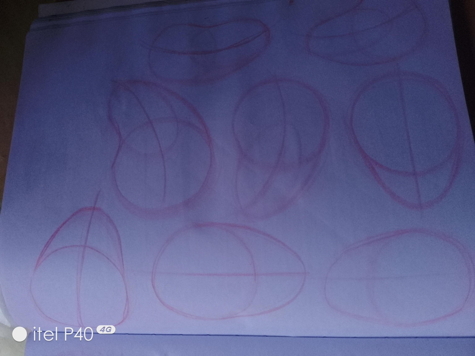 Ovule , circle - image 4 - student project