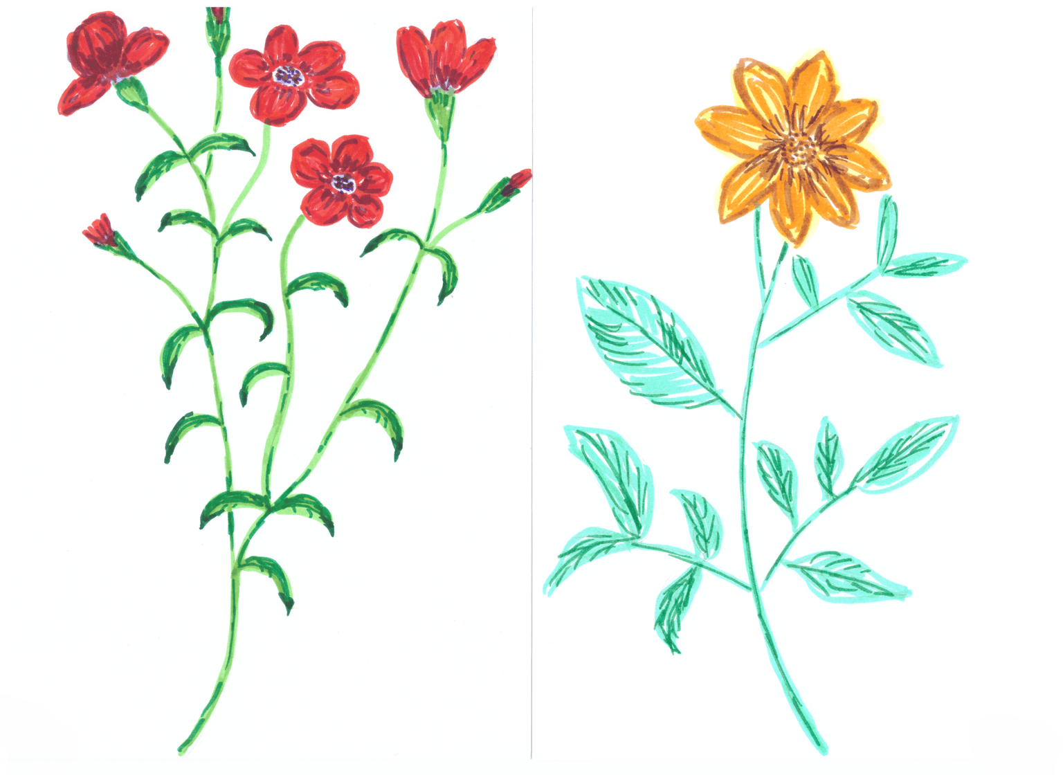 Flower Exercises - image 1 - student project