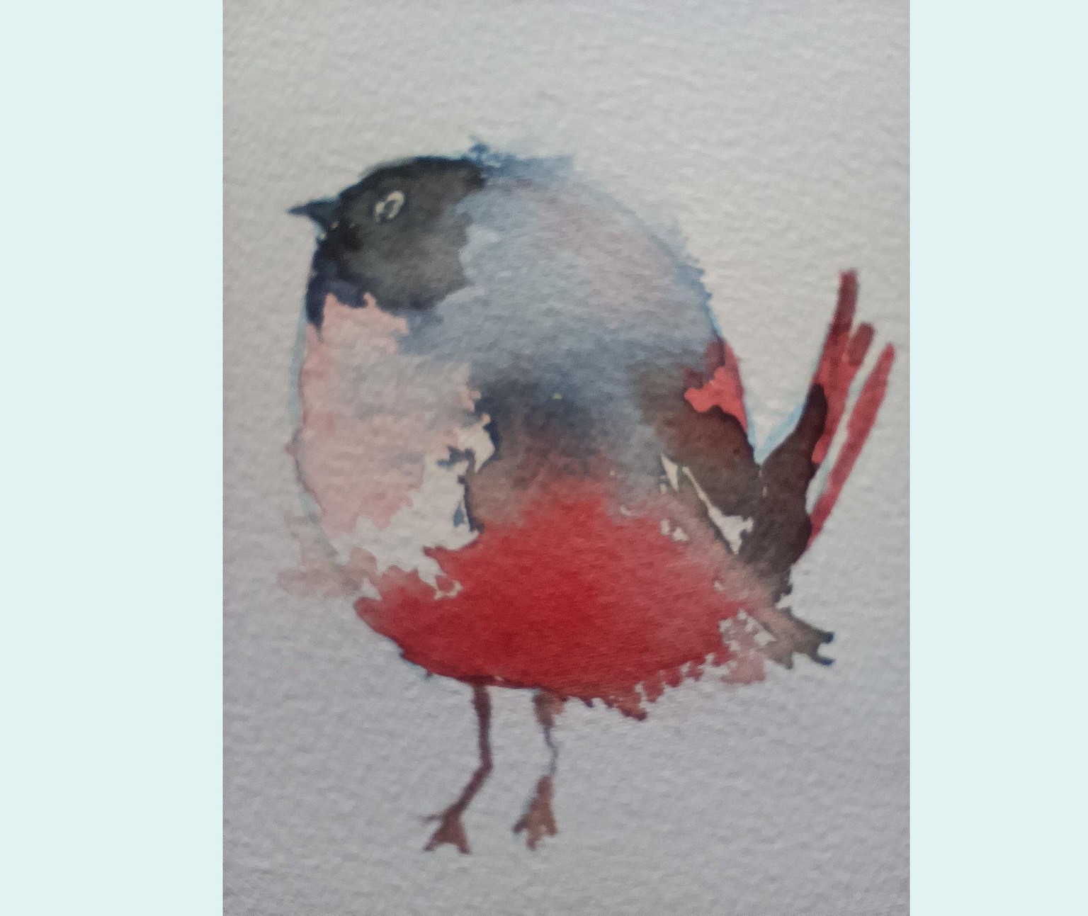 birds - image 1 - student project