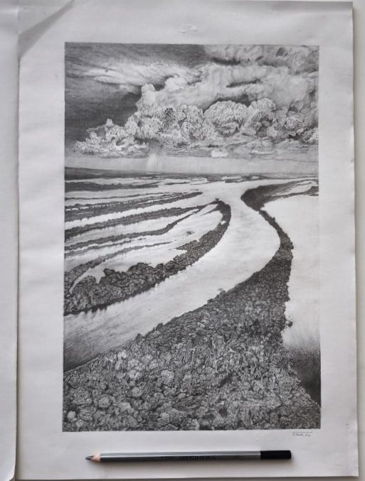 The Language of Line: Part 3 of The Drawing Laboratory - image 1 - student project