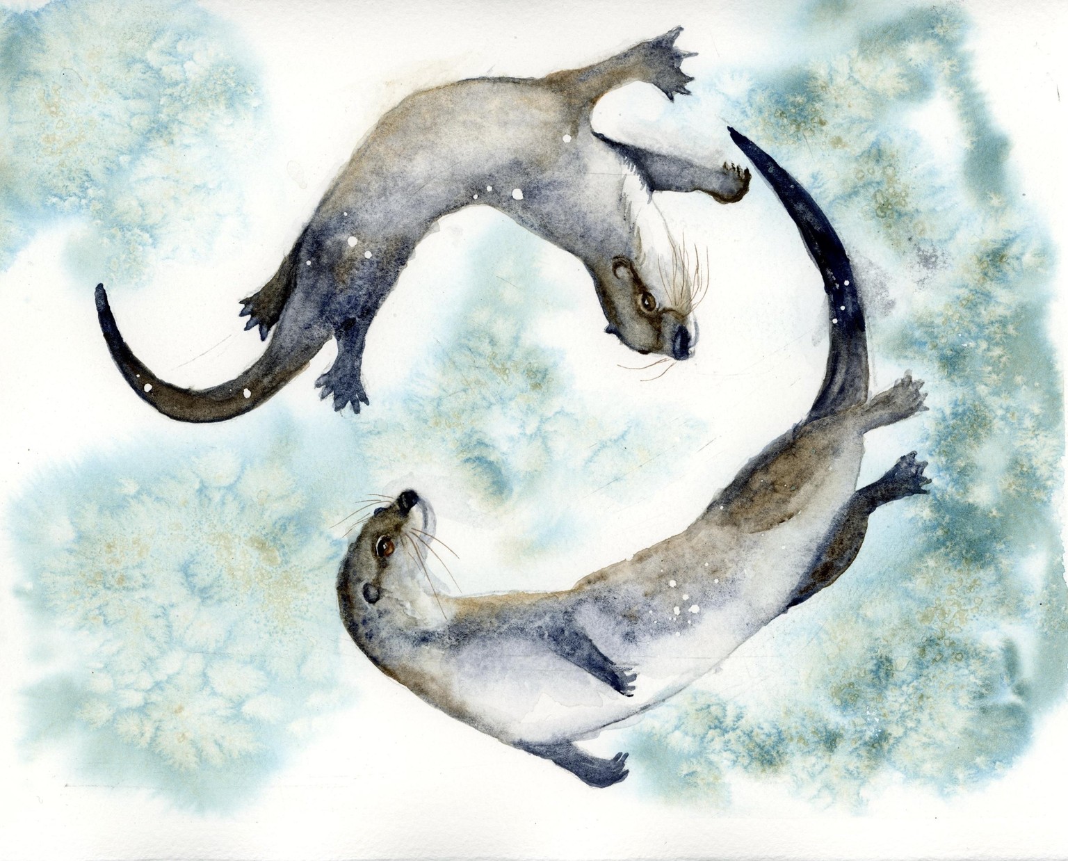 Otters - image 1 - student project