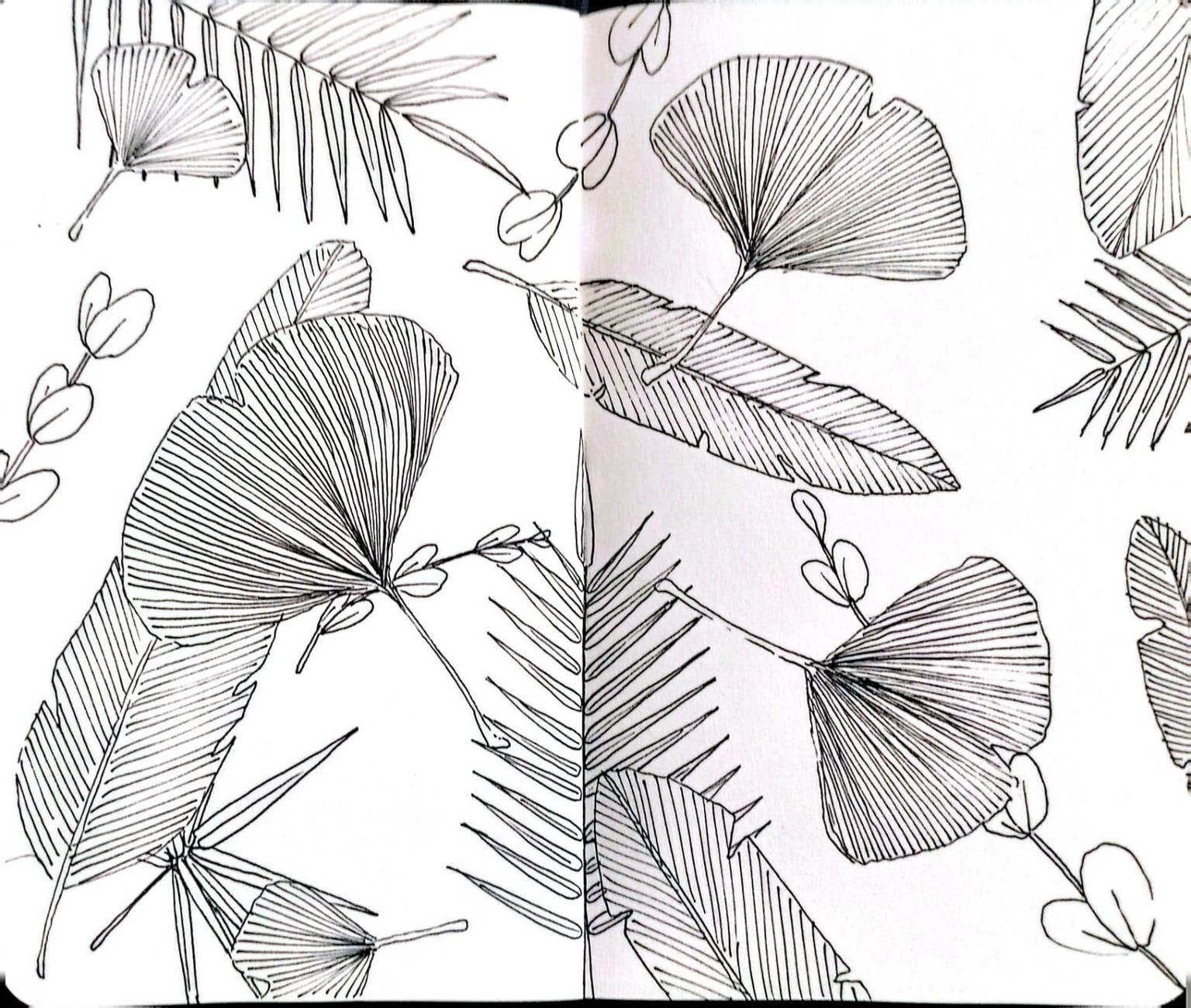 botanica - image 1 - student project