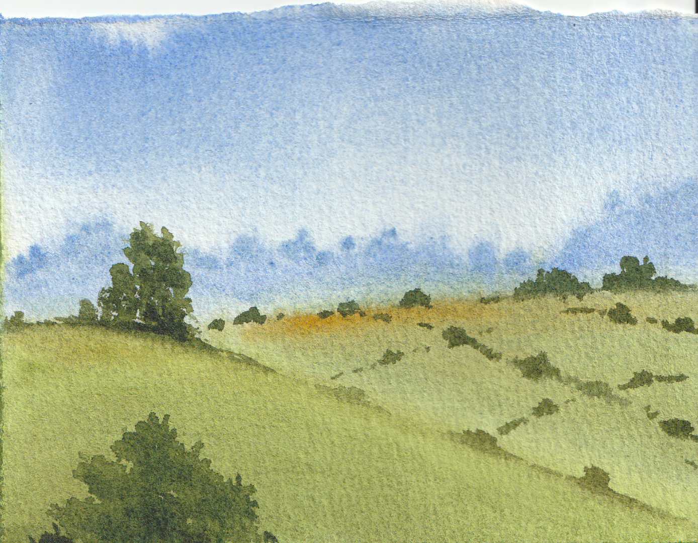 My journey learnig watercolor! - image 4 - student project