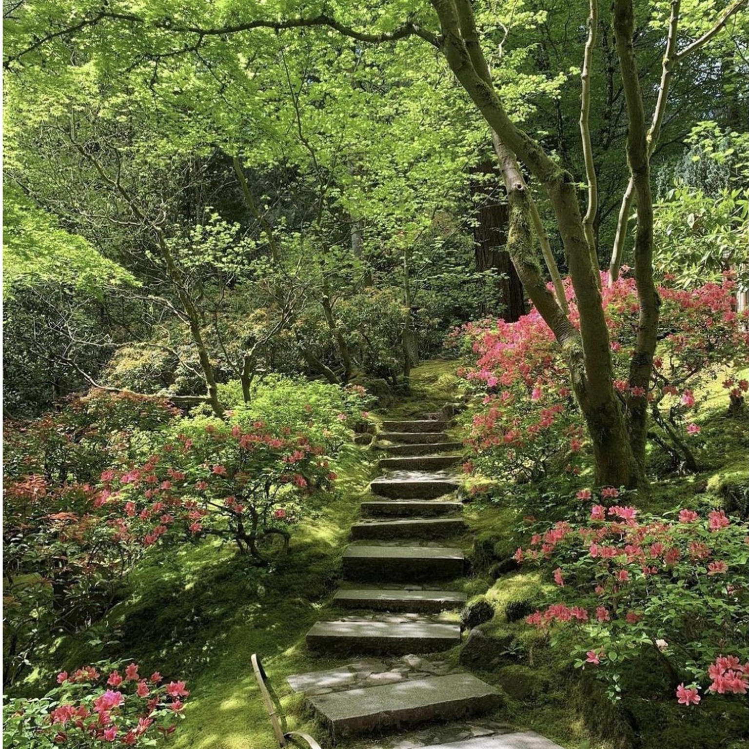 4 Japanese Landscapes - image 6 - student project