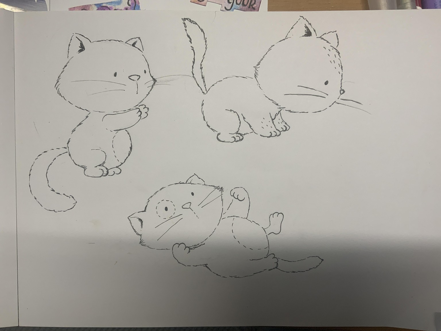 Drawing 7 cute cat poses - image 3 - student project