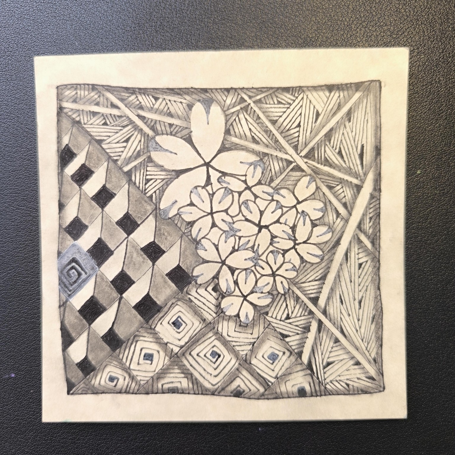 Tangleations & opportunities - image 2 - student project