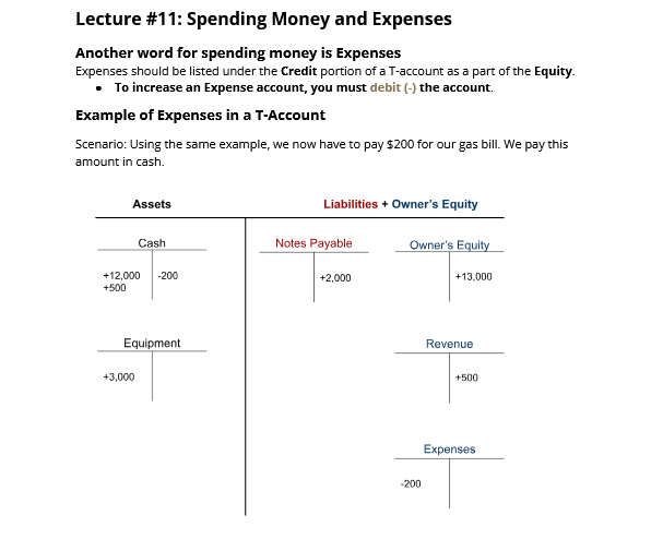 Notes from the Course: T-Account - image 1 - student project