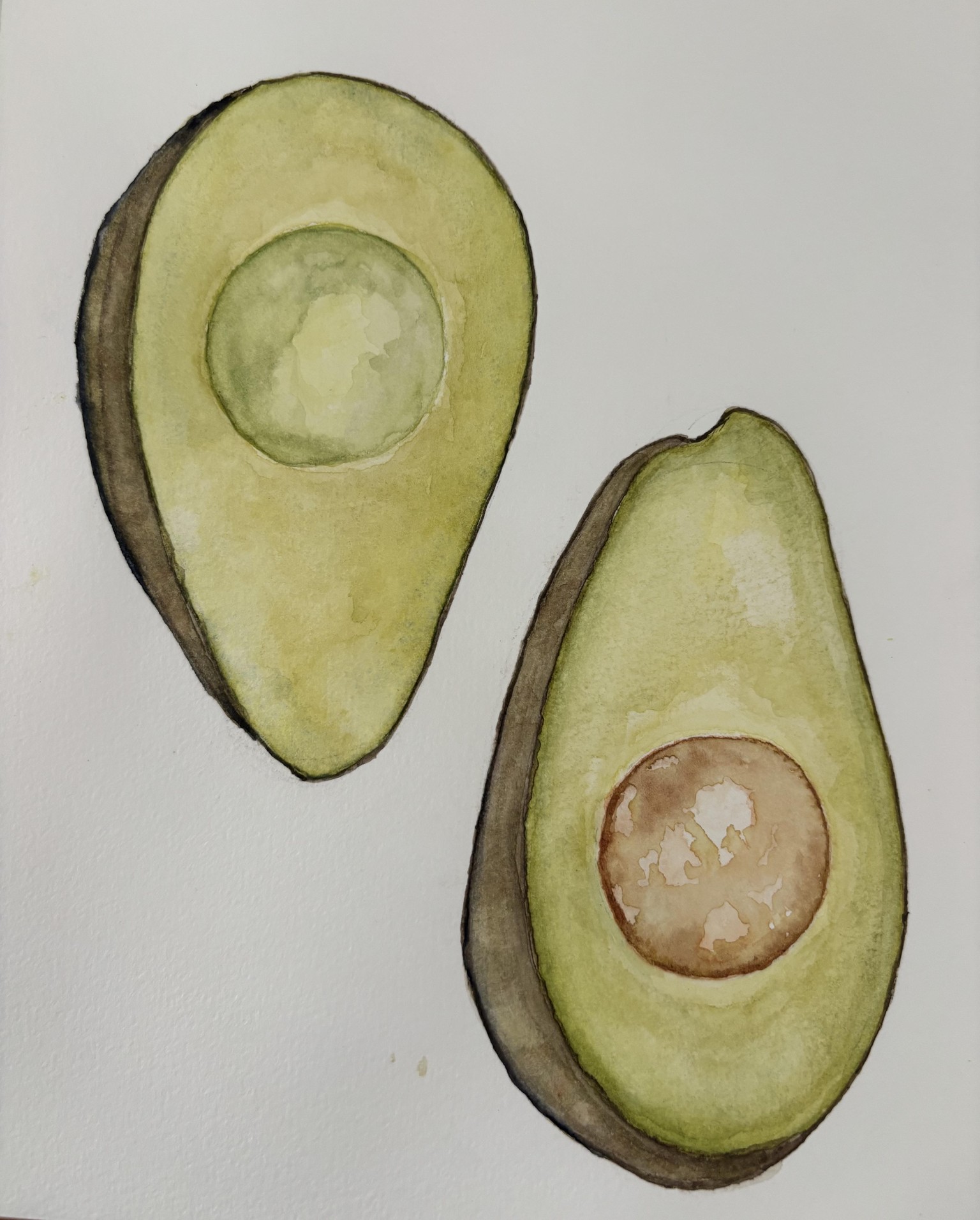 Avocado - image 1 - student project