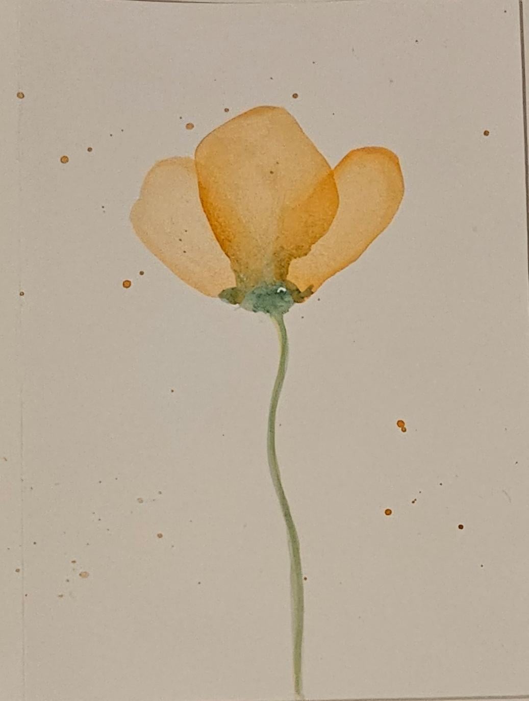 Gentle Blooms - image 1 - student project