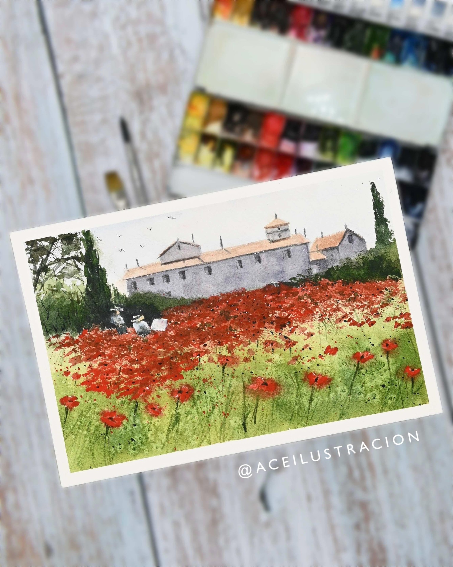 Poppy Field.  A Watercolor Master Study To Learn Atmosphere and Techniques from the artist Joseph Zb - image 2 - student project