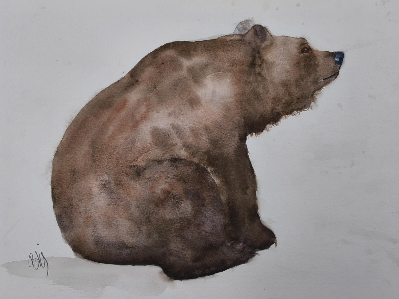 Bear! Such a fun way of painting☺️ - image 1 - student project