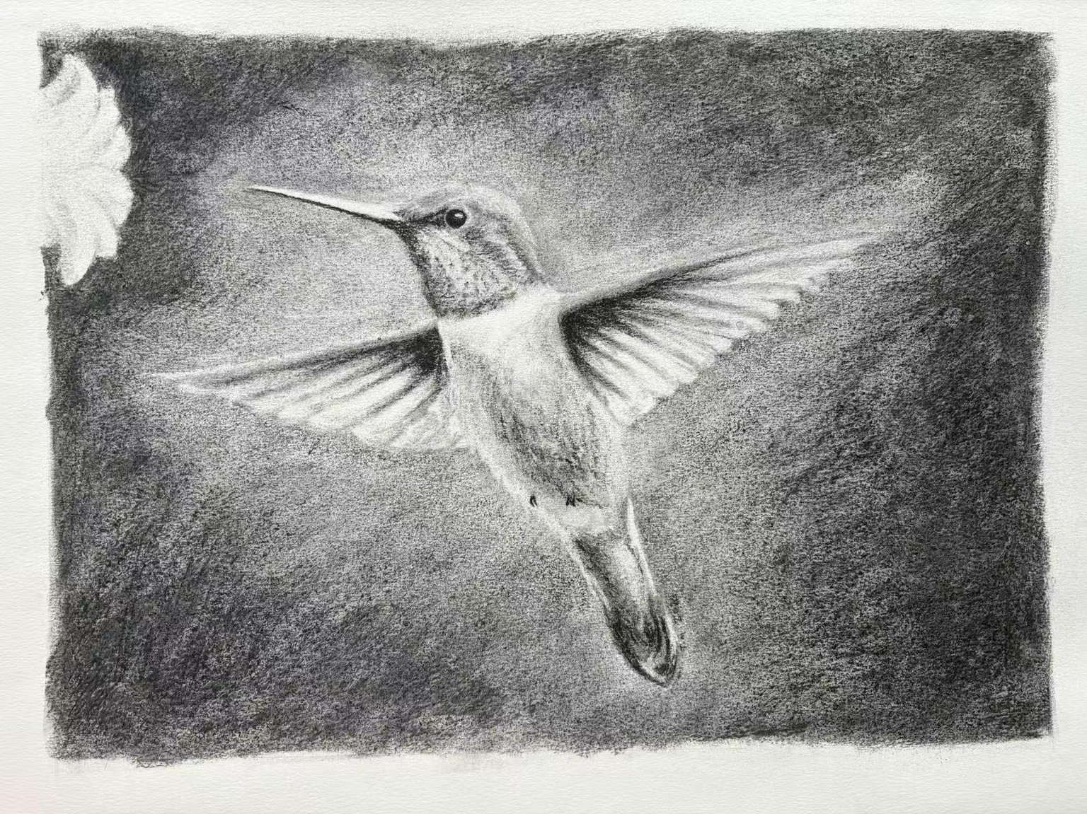 Ephemeral Charcoal Humming Bird - image 1 - student project