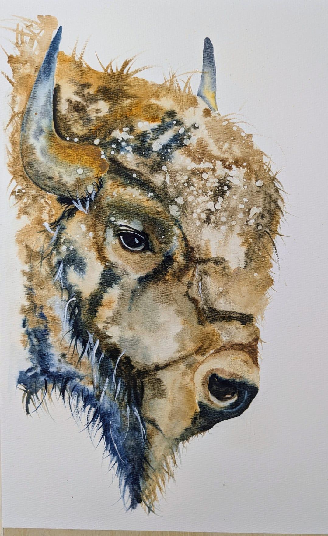 Bison - image 1 - student project