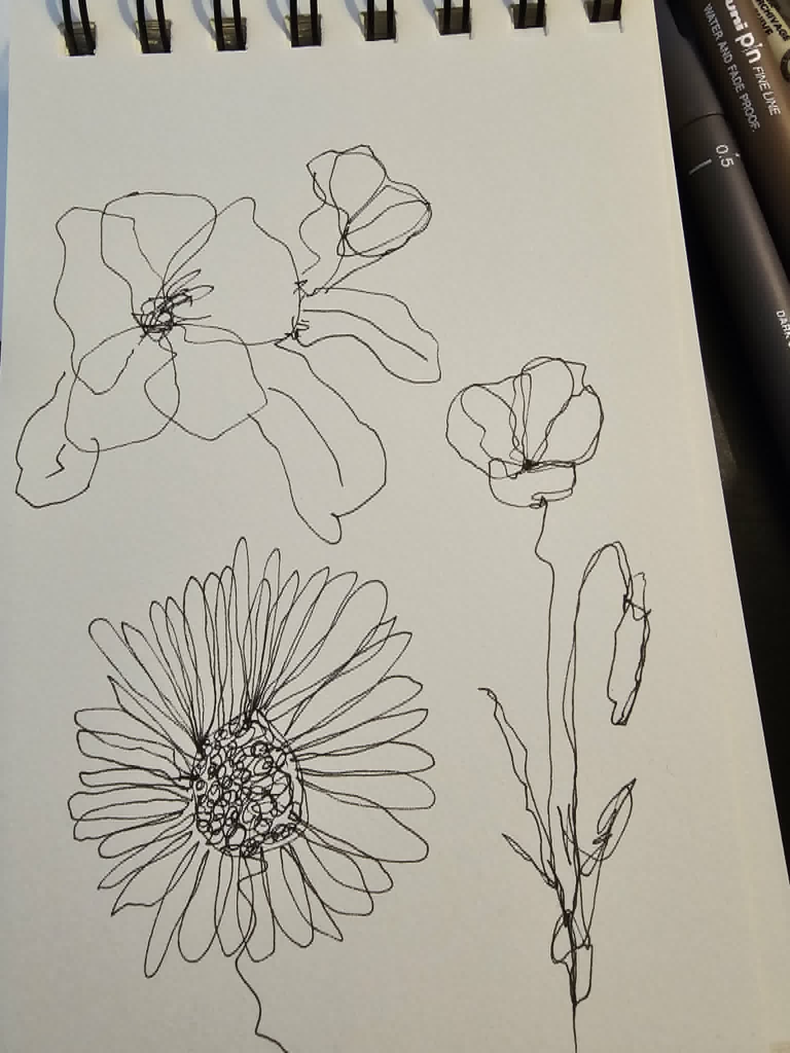 Quelques dessins de fleurs en un seul trait - image 1 - student project