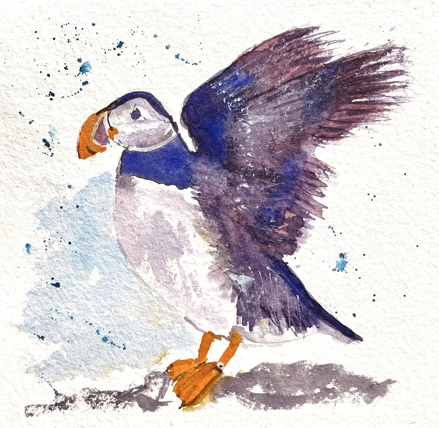 Puffin in watercolour - image 2 - student project