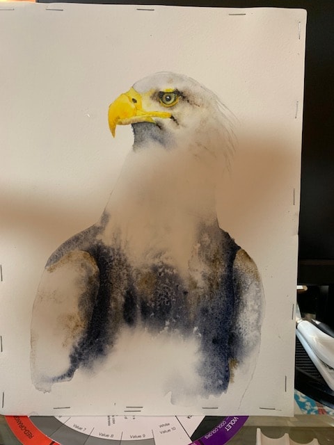 BALD EAGLE - image 1 - student project