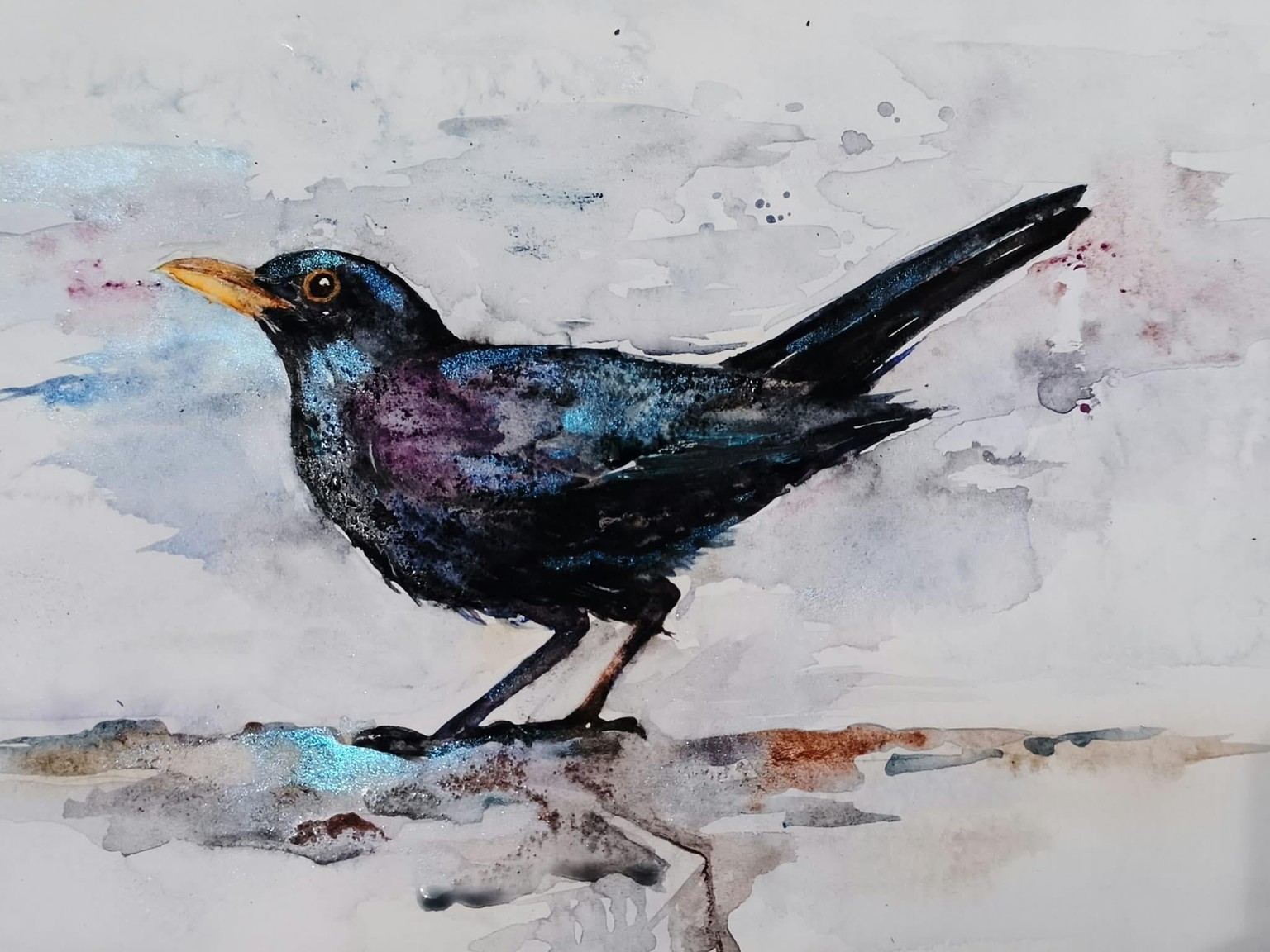 Blackbird - image 1 - student project