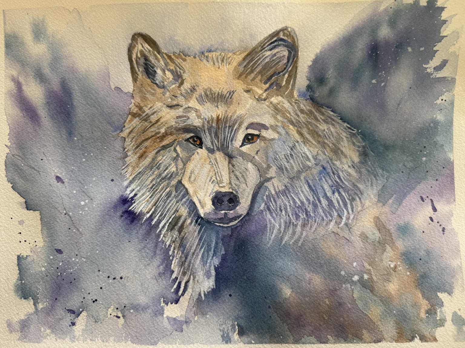 White wolf - image 1 - student project