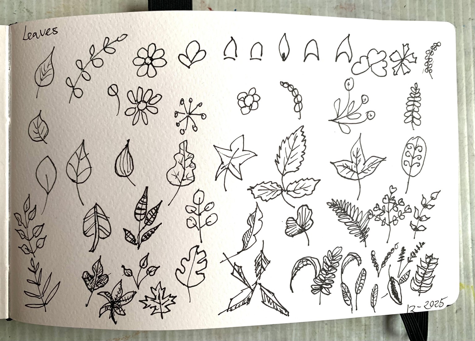 Botanical Doodles - image 3 - student project