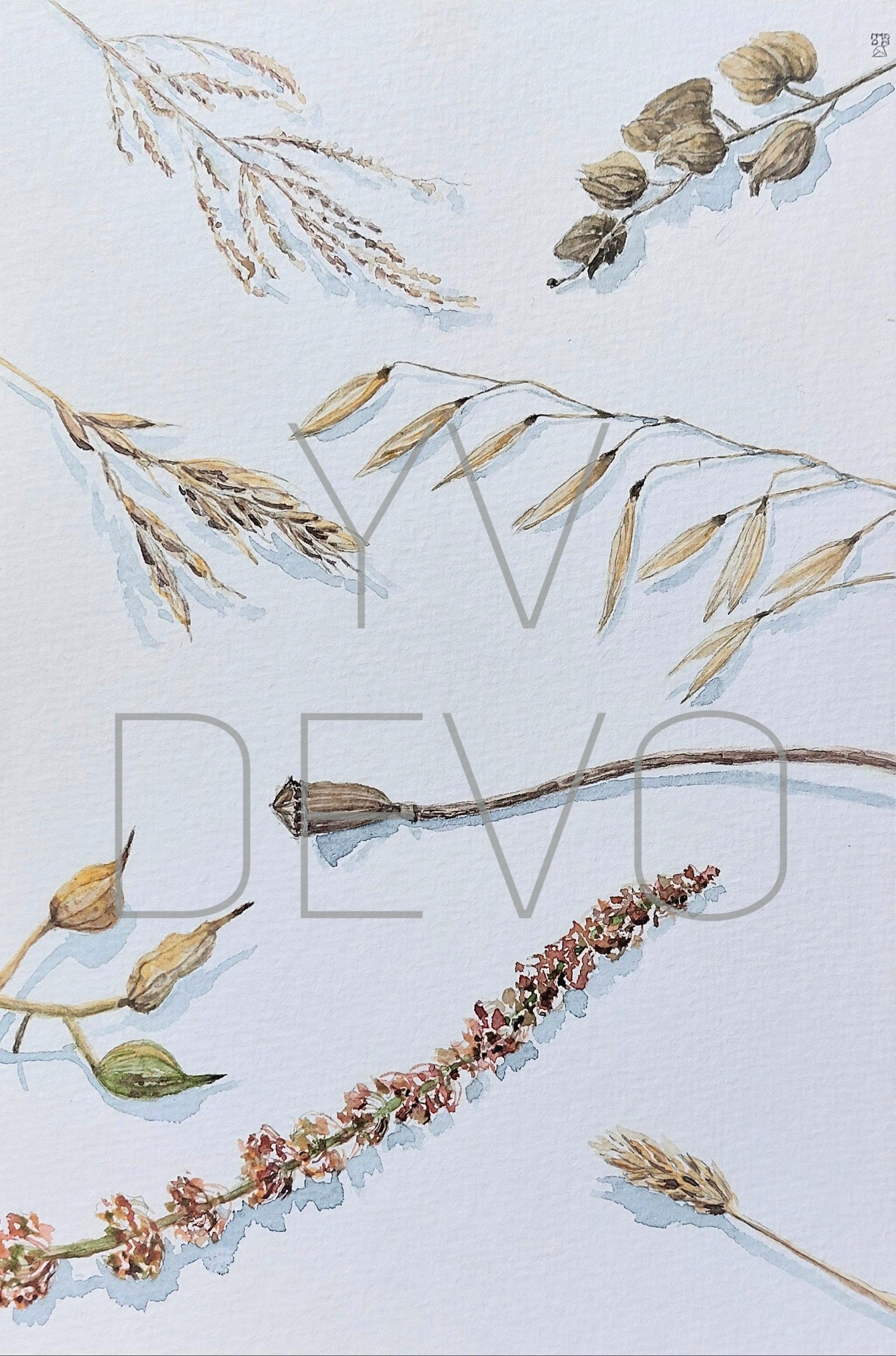 Nature near by home, watercolor practice with Julia Bausenhardt - image 2 - student project