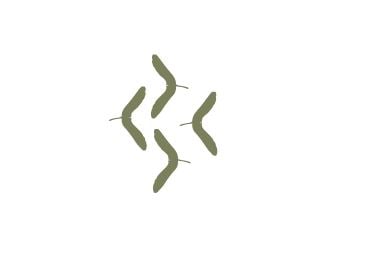 Maple Meadow Patterns - image 12 - student project