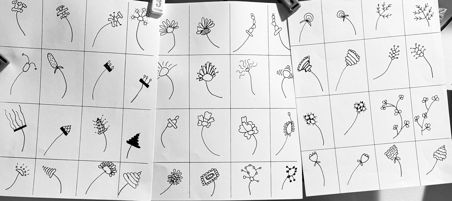 Flower-Drawing Part One - image 1 - student project