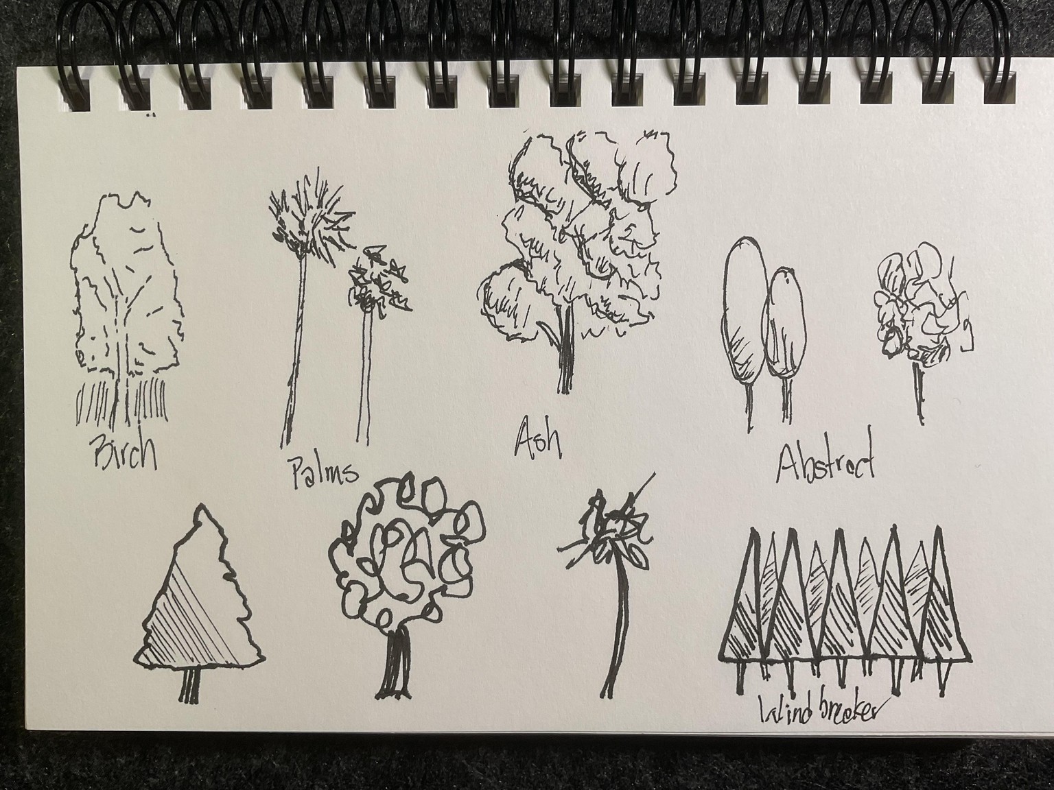 More Trees - image 2 - student project