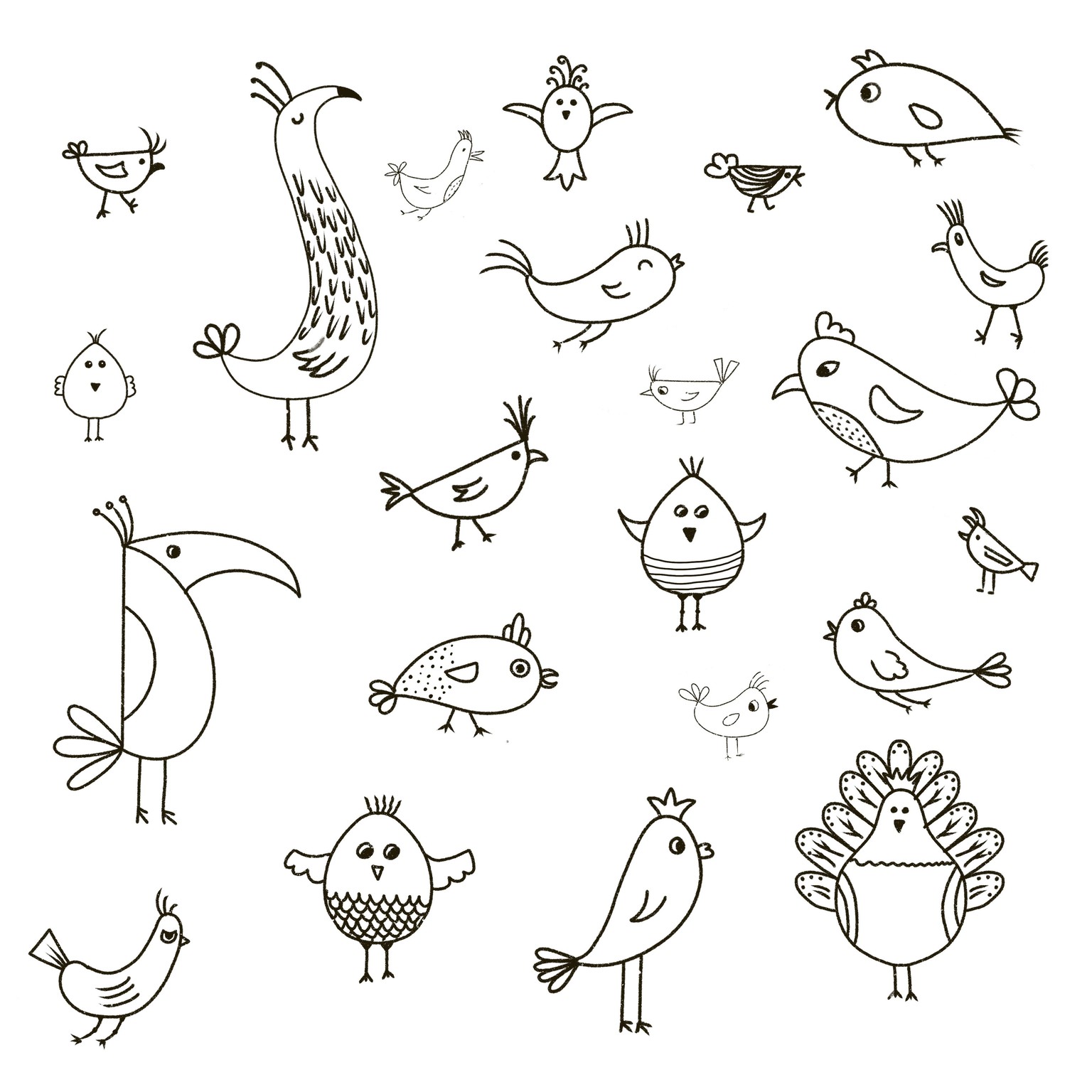 Funny birds - image 1 - student project