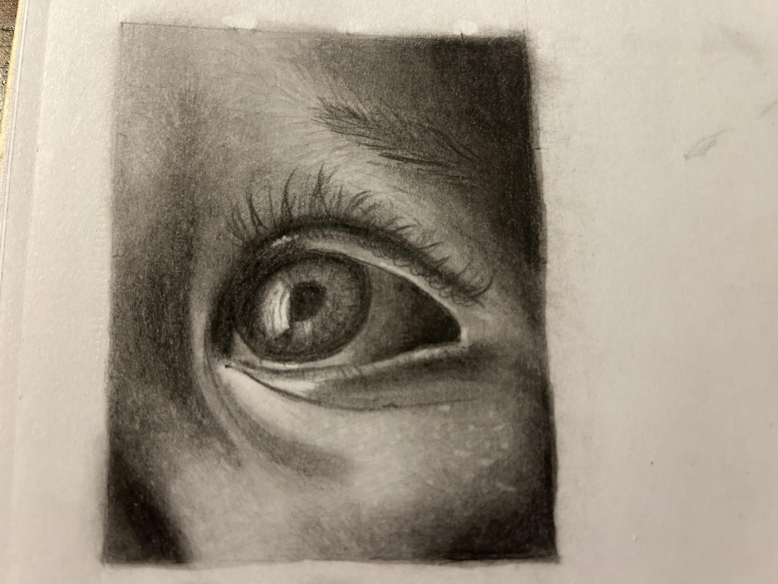 First try drawing eyes - image 2 - student project